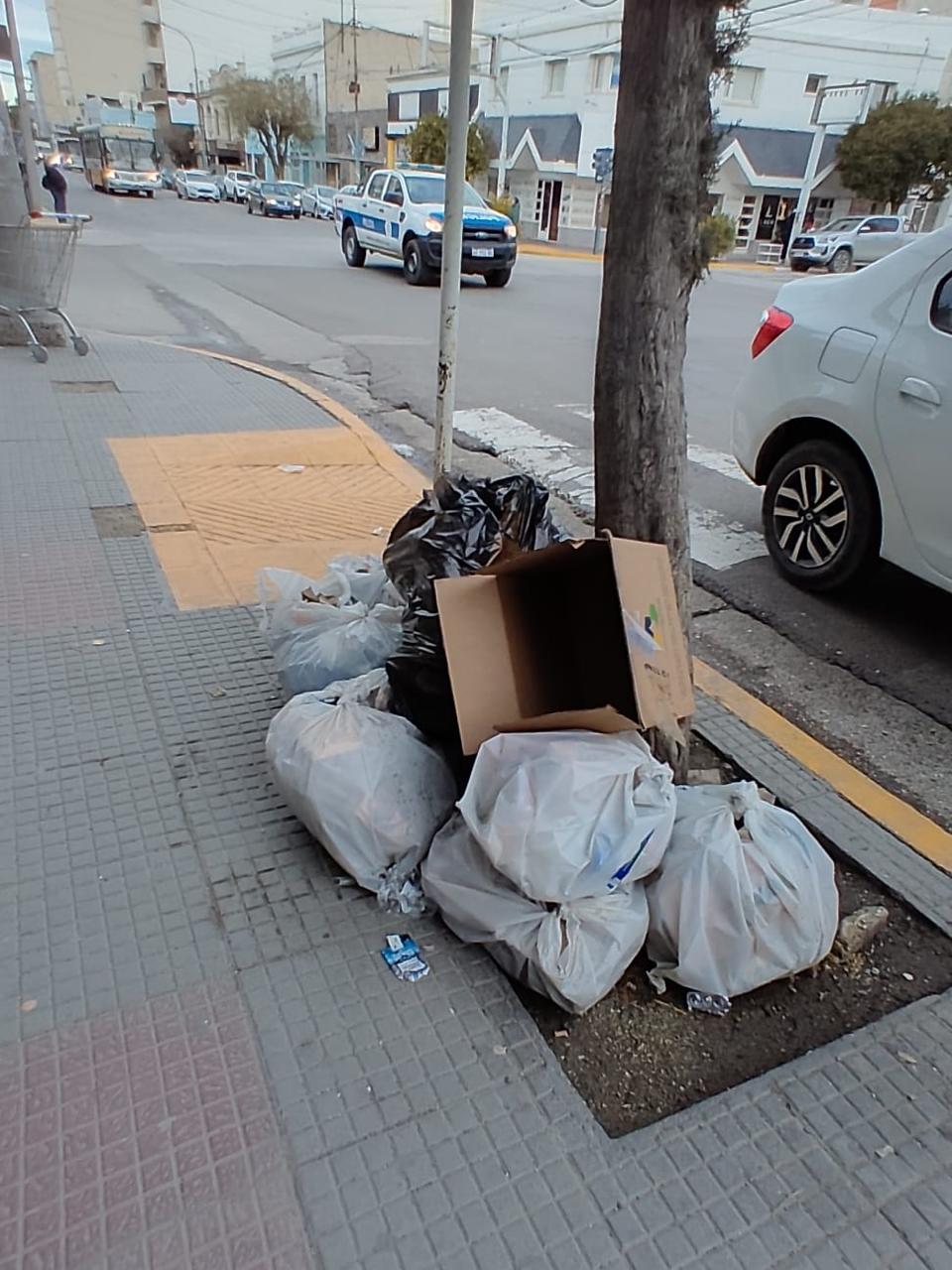 Acción 13
